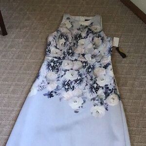 Blue and White Sheath Dress with  Sleeveless Design